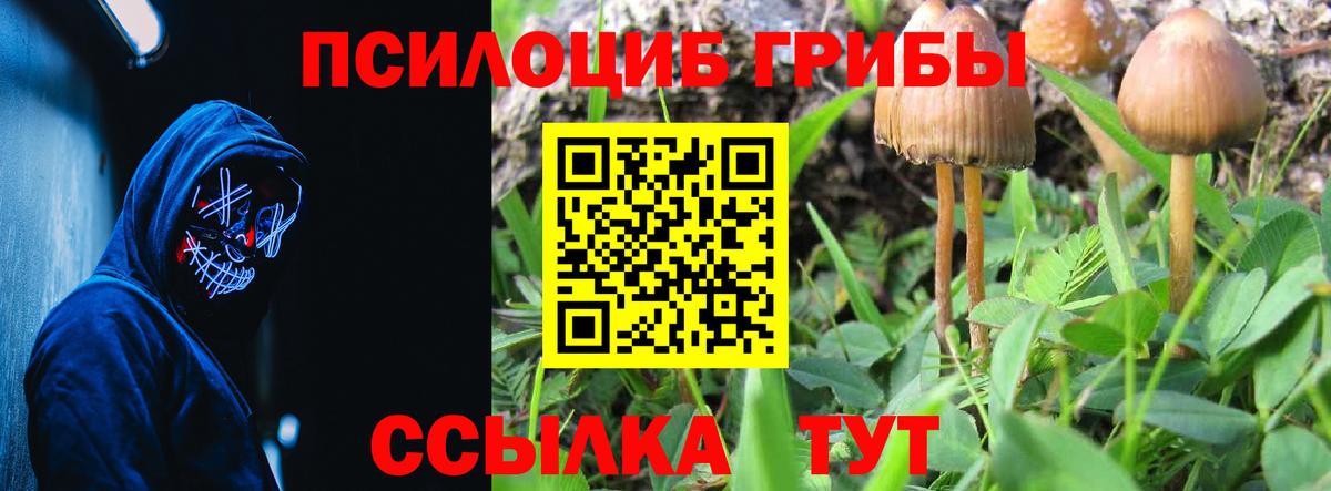 Галлюциногенные грибы Magic Shrooms Усть-Илимск