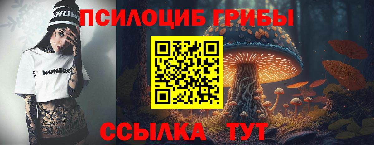 Усть-Илимск  Галлюциногенные грибы прущие грибы  Вход с VPN 